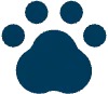 Pet food